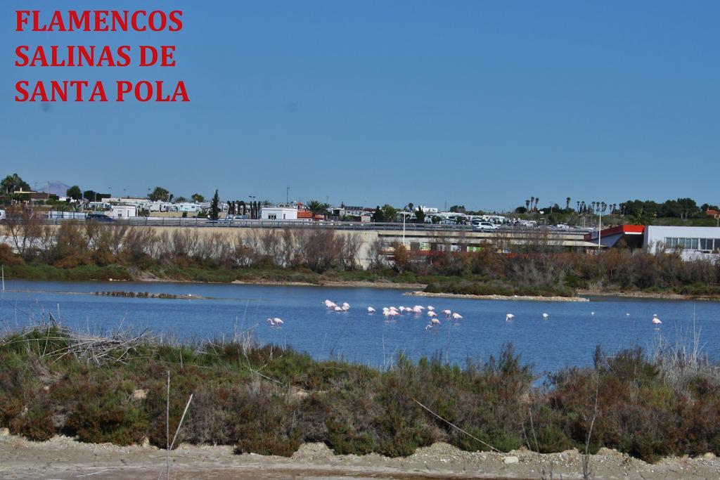 Estudio Marina De Santa Pola Εξωτερικό φωτογραφία